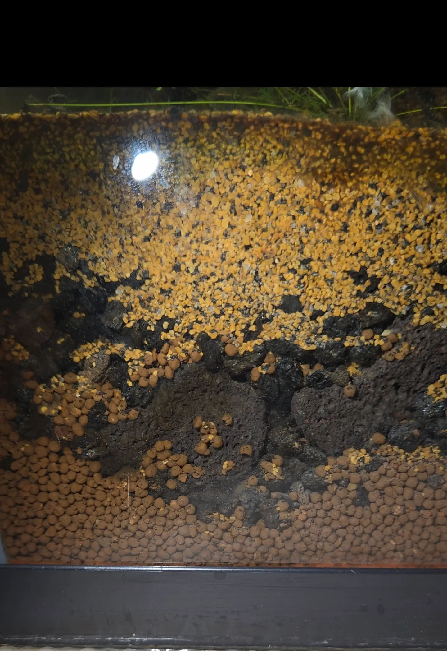 Side view of a tank showing orange granular substrate over a dark layer