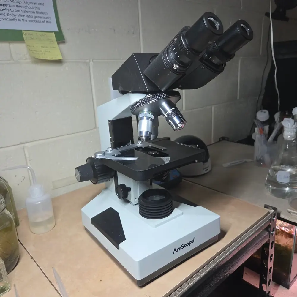 My AmScope B490B binocular microscope on the lab bench