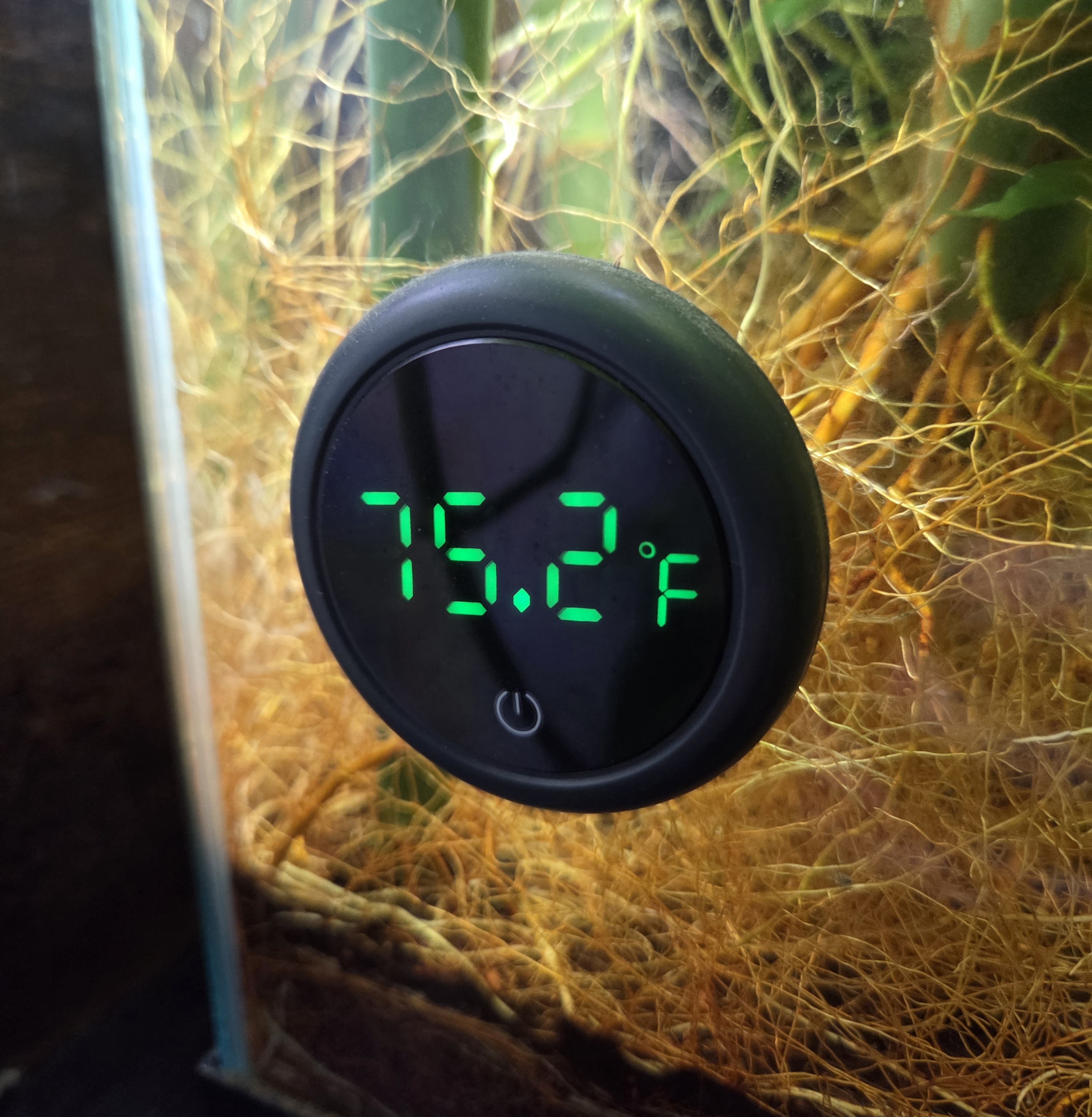 Tropical Aquarium Landscape